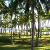 Lombok