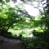 narita shinsho-ji temple garden