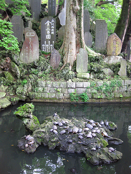 Naritasan Shinshō-ji Temple turtles
