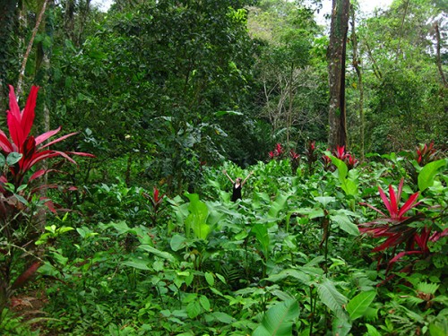 Gandoca-Manzanillo Wildlife Reserve