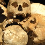 Skulls - Killing Fields, Phnom Penh