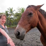 Wild Horse, Playa Negra, Costa Rica