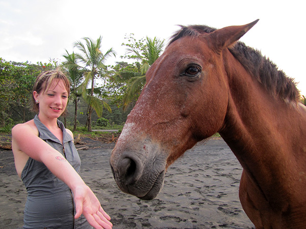 Wild Horse - Playa Negra, Costa Rica