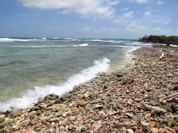 East Coast - Bonaire
